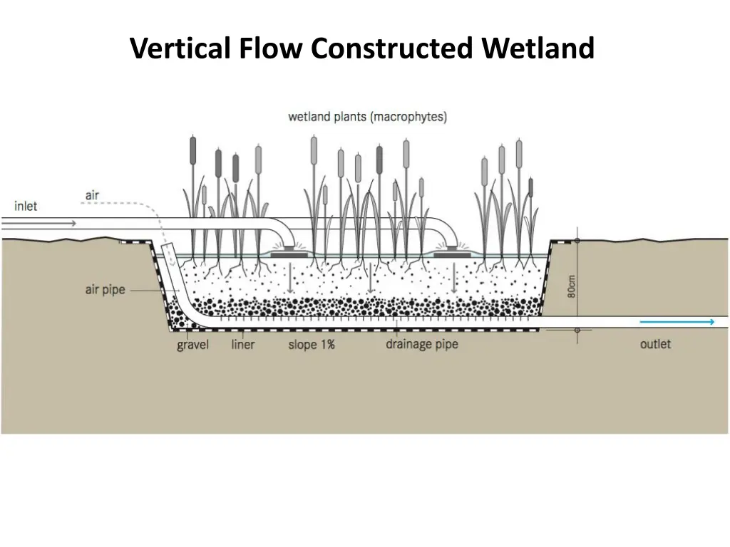 vertical flow constructed wetland