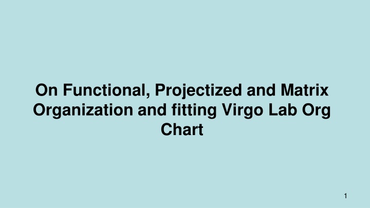 on functional projectized and matrix organization