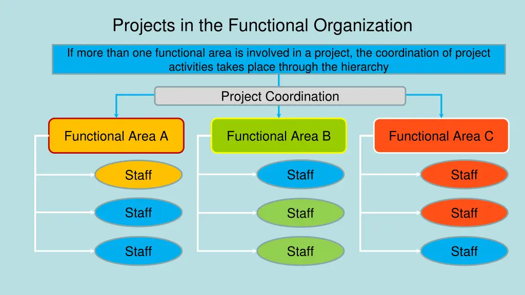 projects in the functional organization