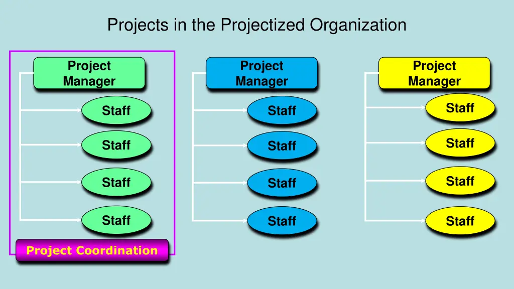 projects in the projectized organization