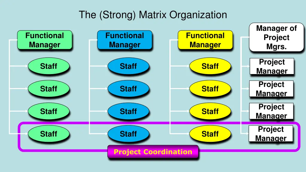 the strong matrix organization