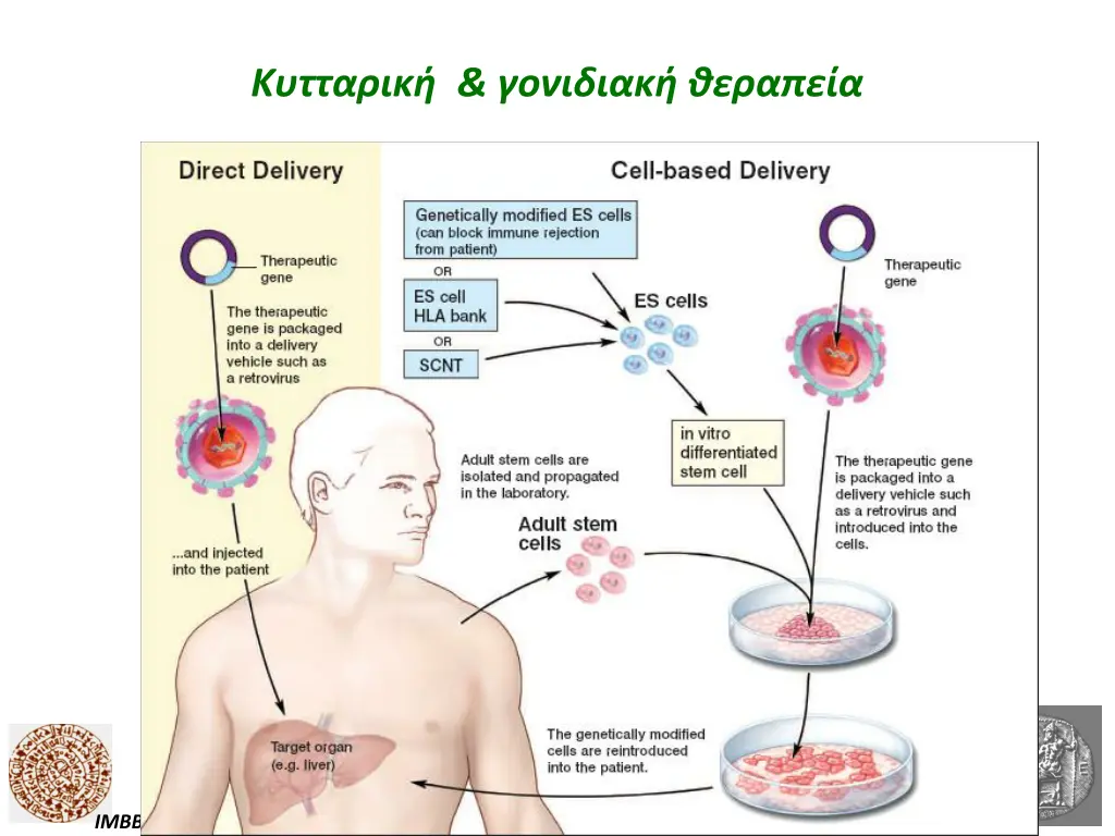 slide19