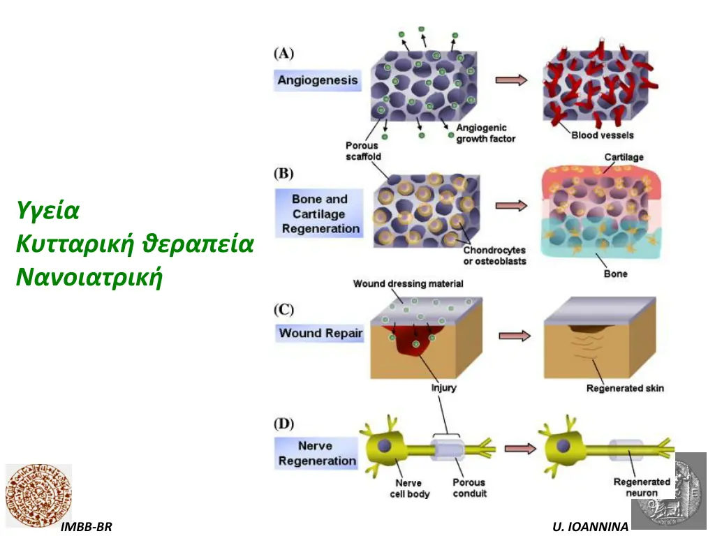 slide21