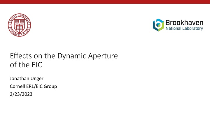 effects on the dynamic aperture of the eic