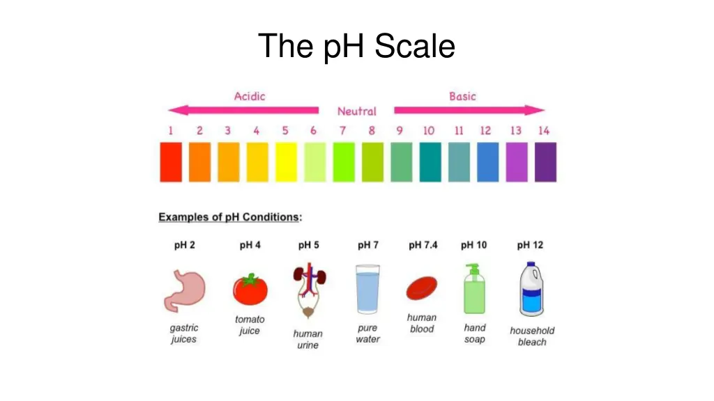 the ph scale