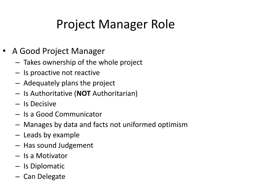 project manager role
