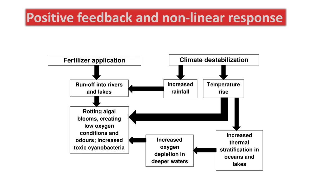 positive feedback and non linear response