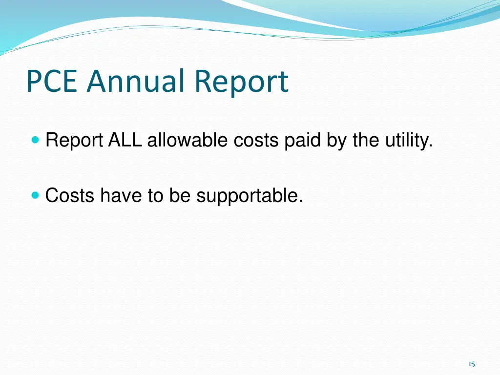 pce annual report