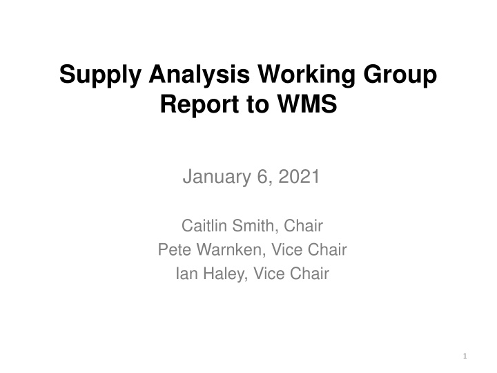 supply analysis working group report to wms