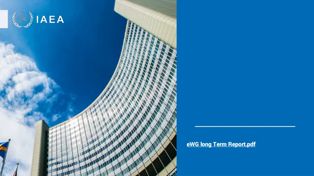 ewg long term report pdf