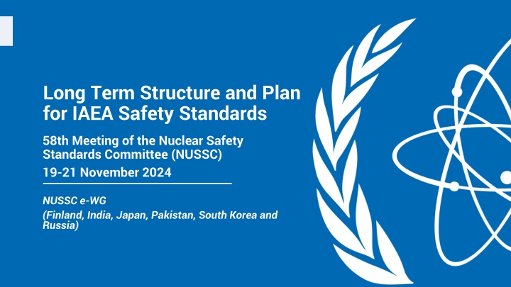 long term structure and plan for iaea safety
