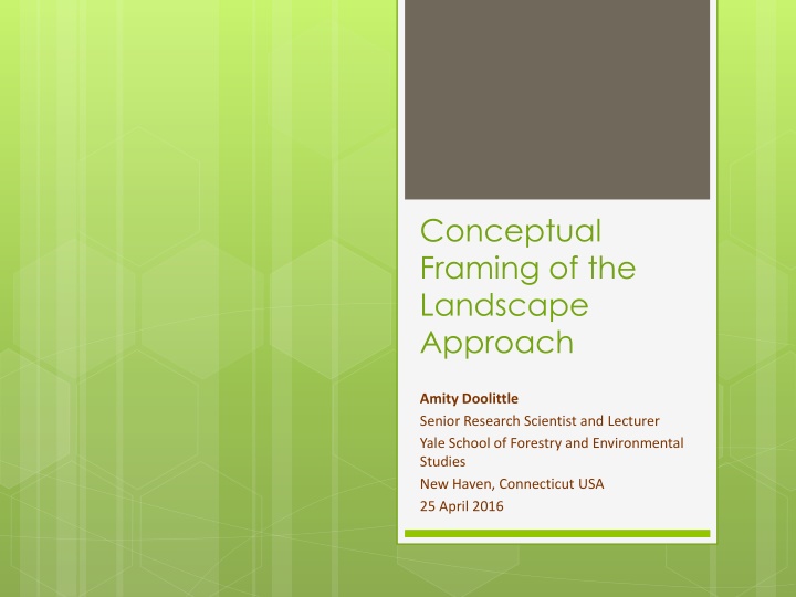conceptual framing of the landscape approach