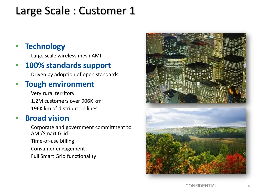 large scale customer 1
