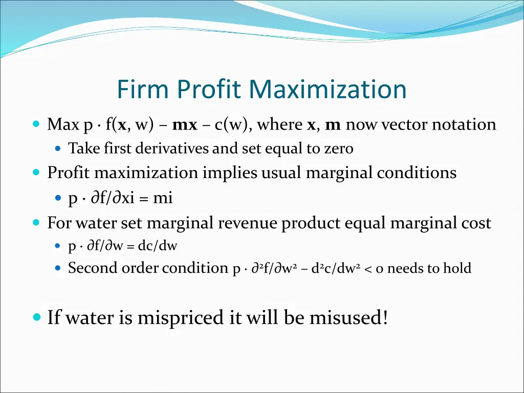 firm profit maximization 1