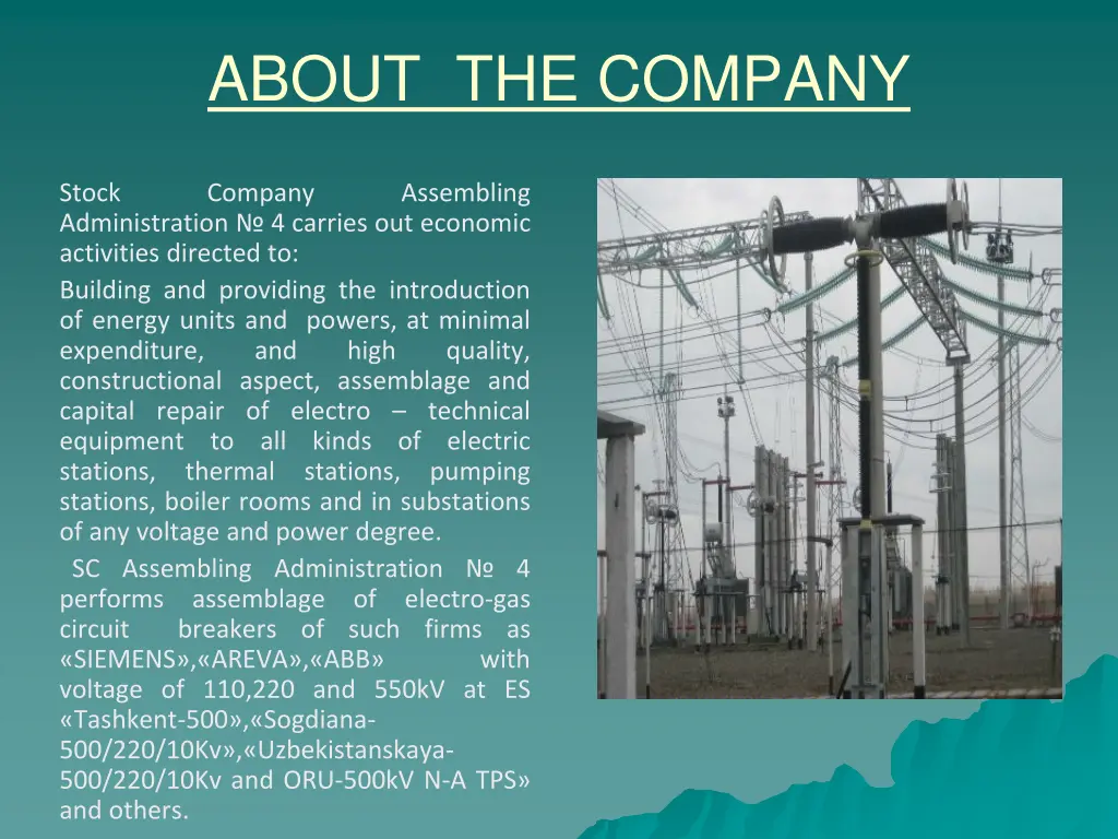 about the company