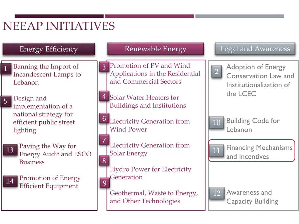 neeap initiatives