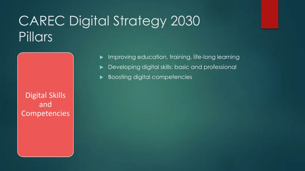 carec digital strategy 2030 pillars 3