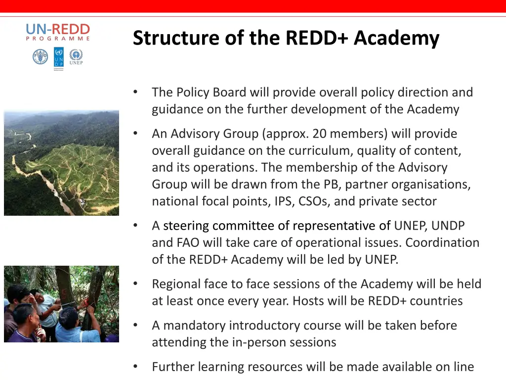 structure of the redd academy