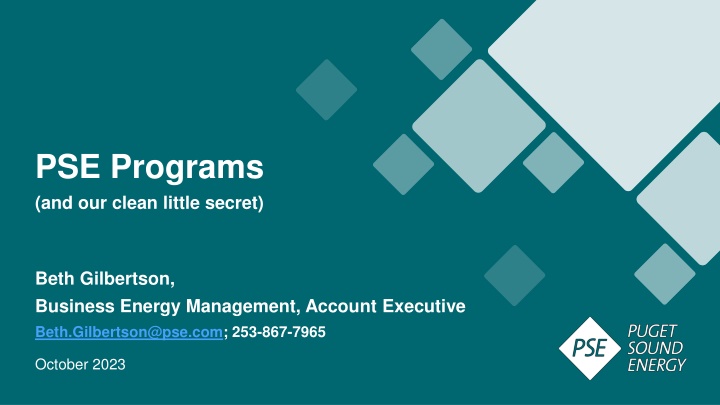 pse programs and our clean little secret