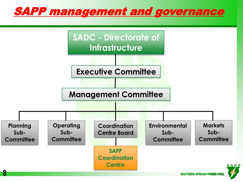 sapp management and governance sapp management