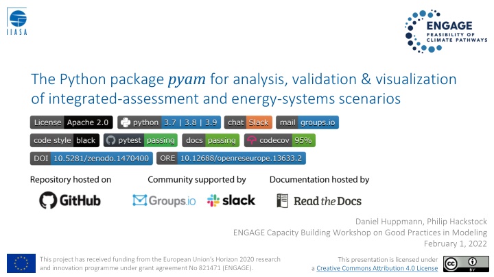 the python package pyam for analysis validation