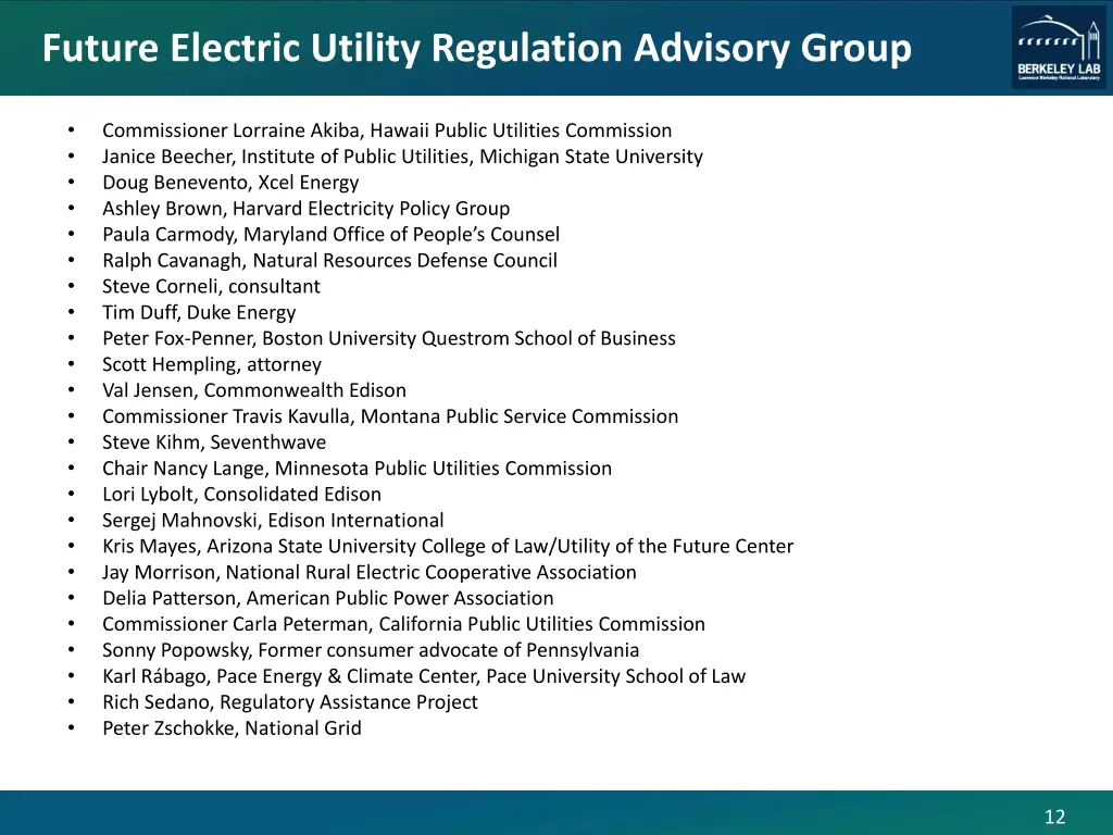 future electric utility regulation advisory group