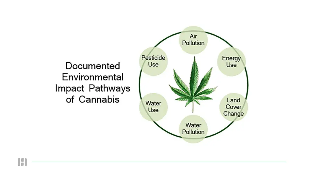 slide7