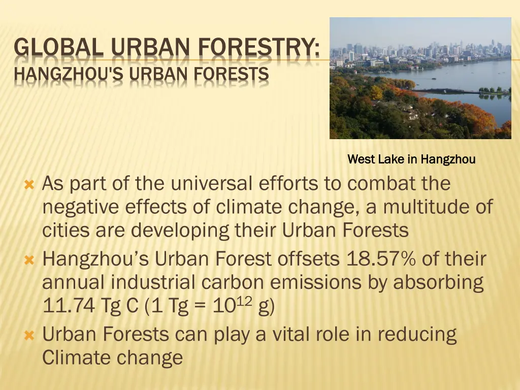 global urban forestry hangzhou s urban forests
