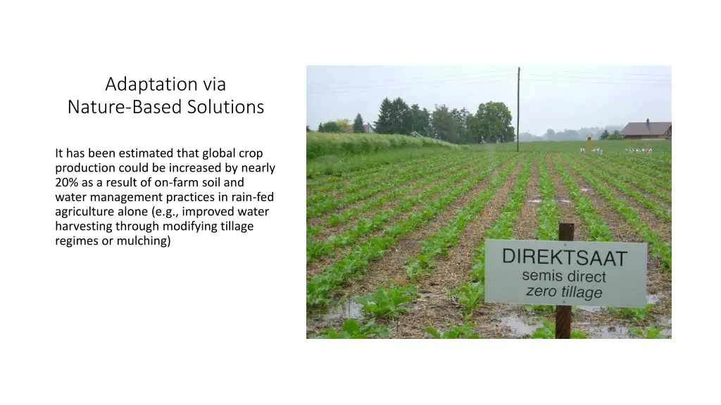 adaptation via nature based solutions