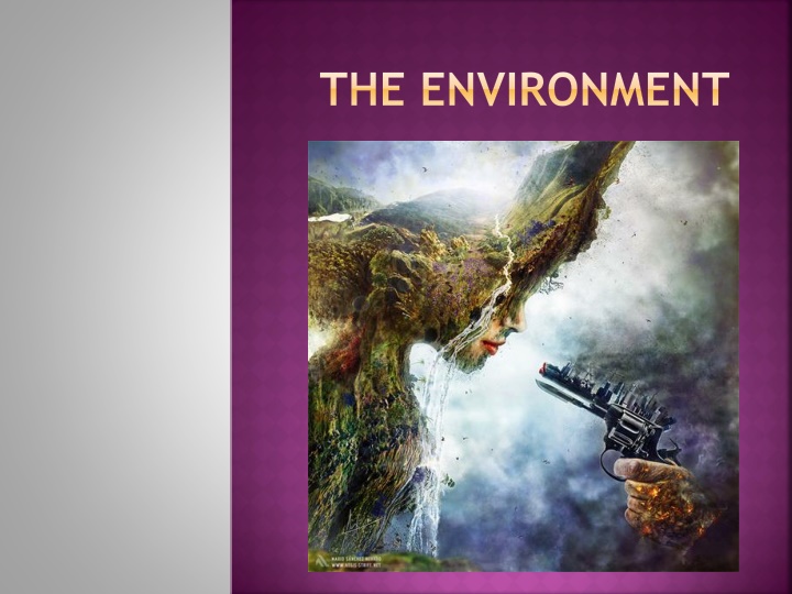 the environment