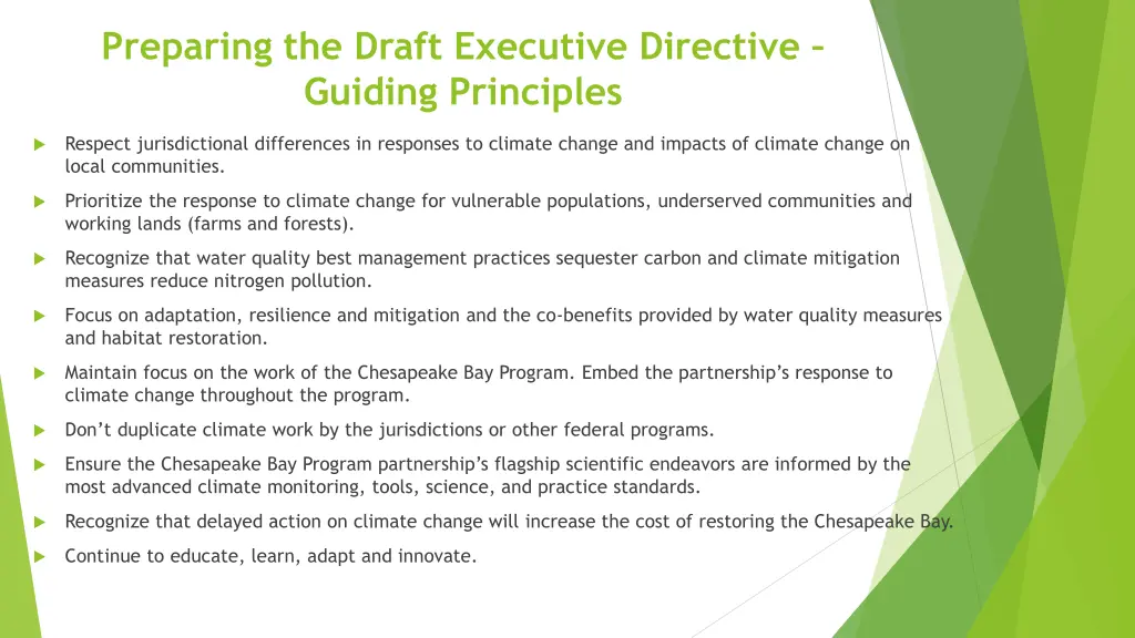preparing the draft executive directive guiding