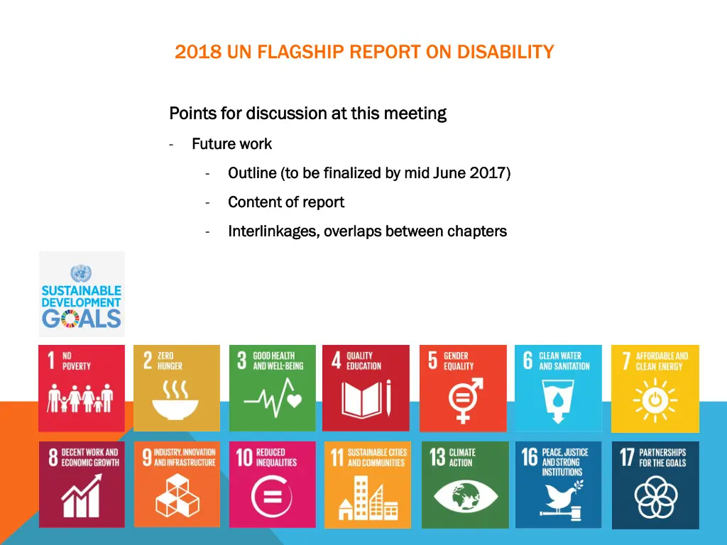 2018 un flagship report on disability 3