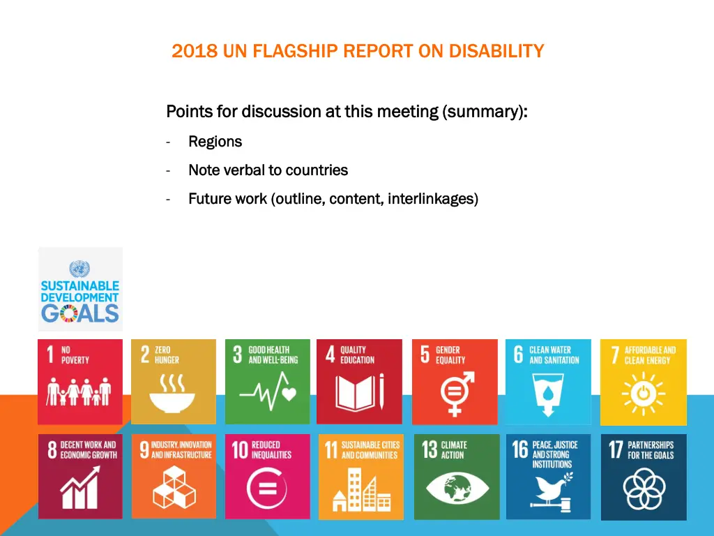 2018 un flagship report on disability 4