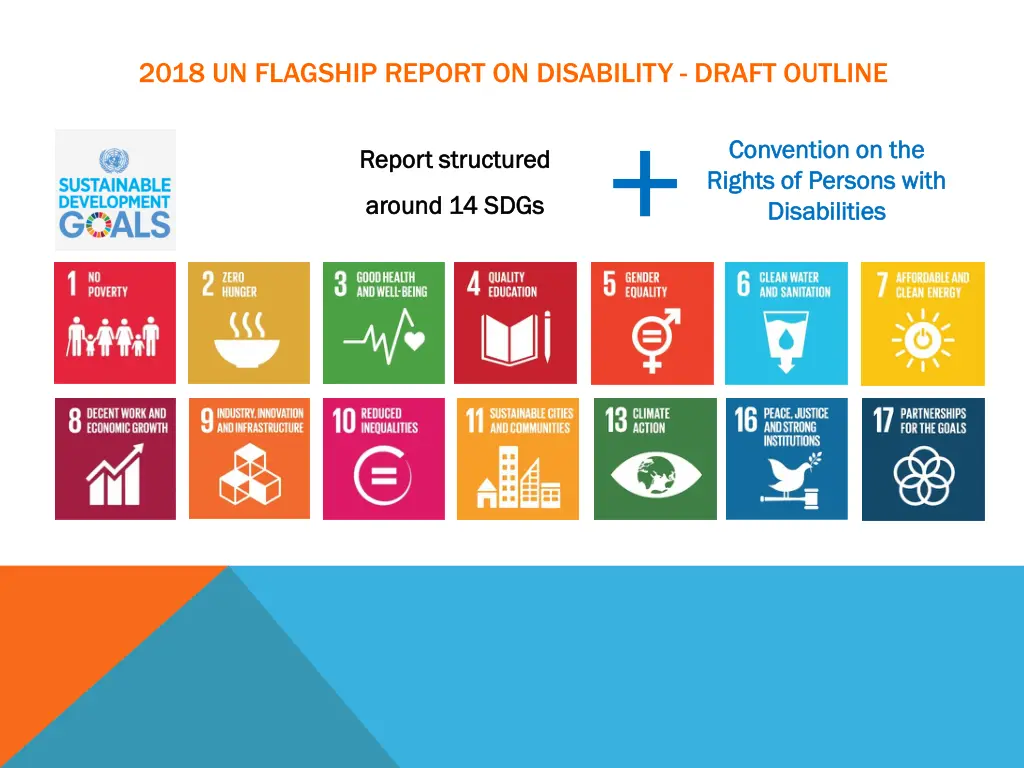 2018 un flagship report on disability draft 1