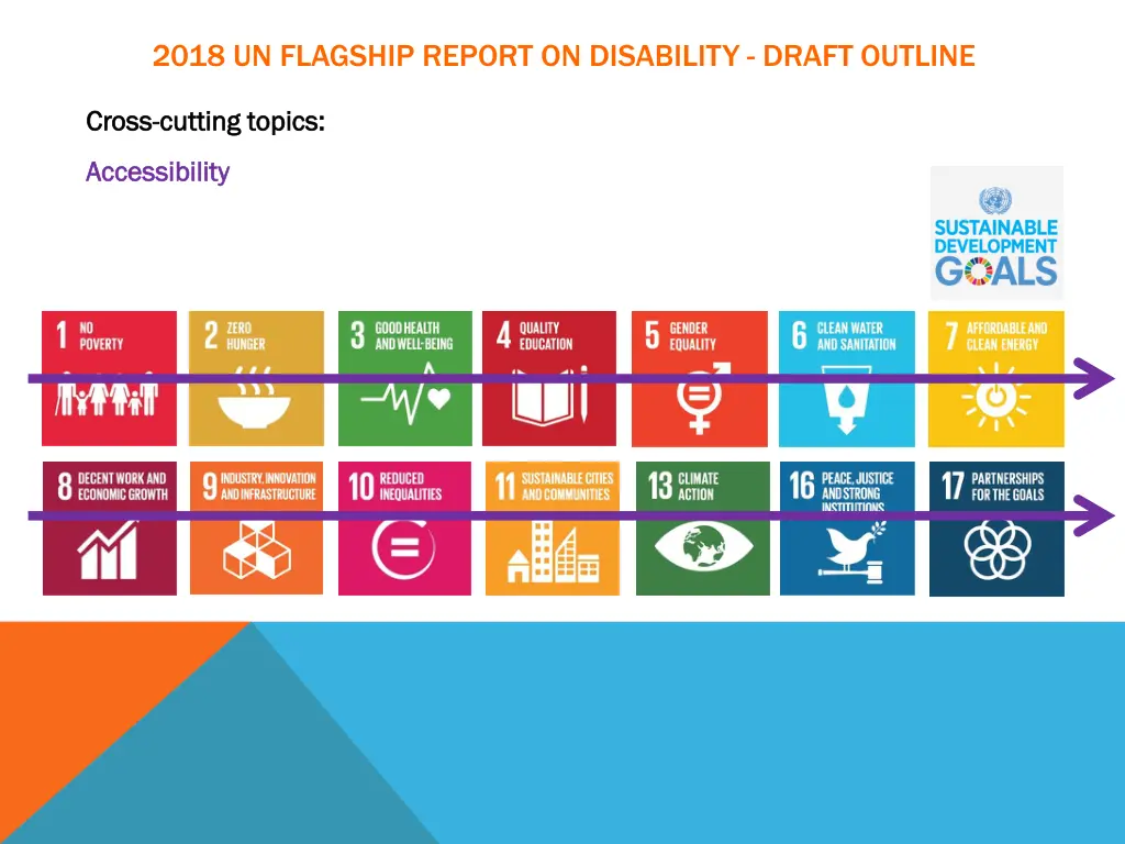 2018 un flagship report on disability draft 3