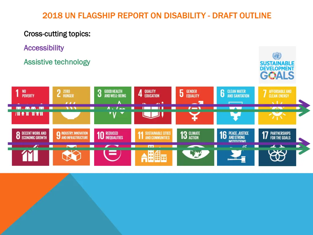 2018 un flagship report on disability draft 4