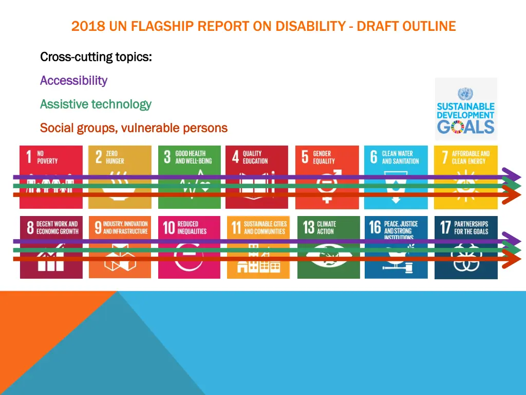 2018 un flagship report on disability draft 5
