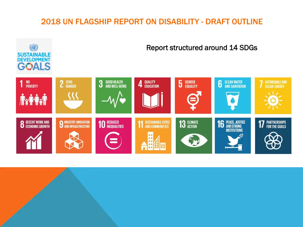 2018 un flagship report on disability draft
