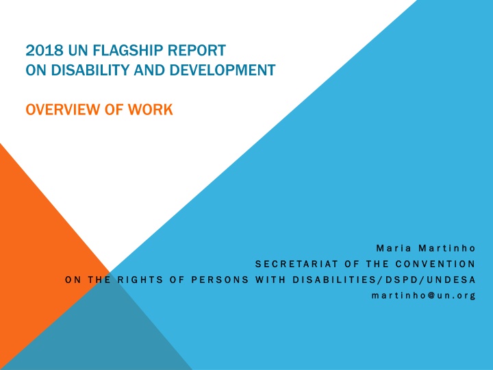 2018 un flagship report on disability