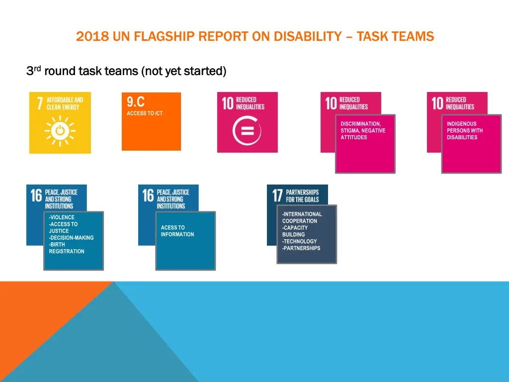 2018 un flagship report on disability task teams 2