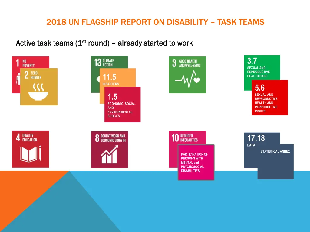 2018 un flagship report on disability task teams