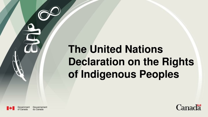 the united nations declaration on the rights