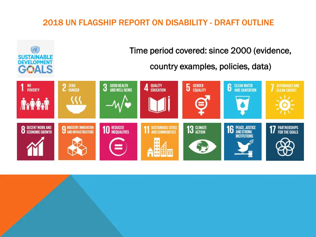 2018 un flagship report on disability draft 8