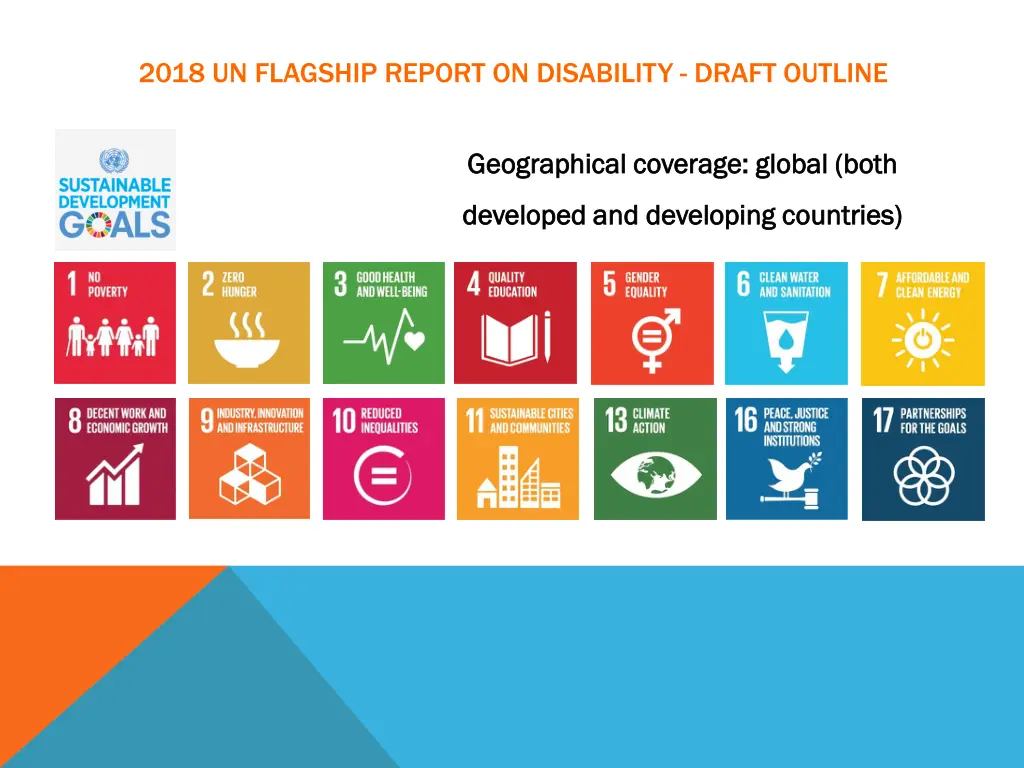 2018 un flagship report on disability draft 9