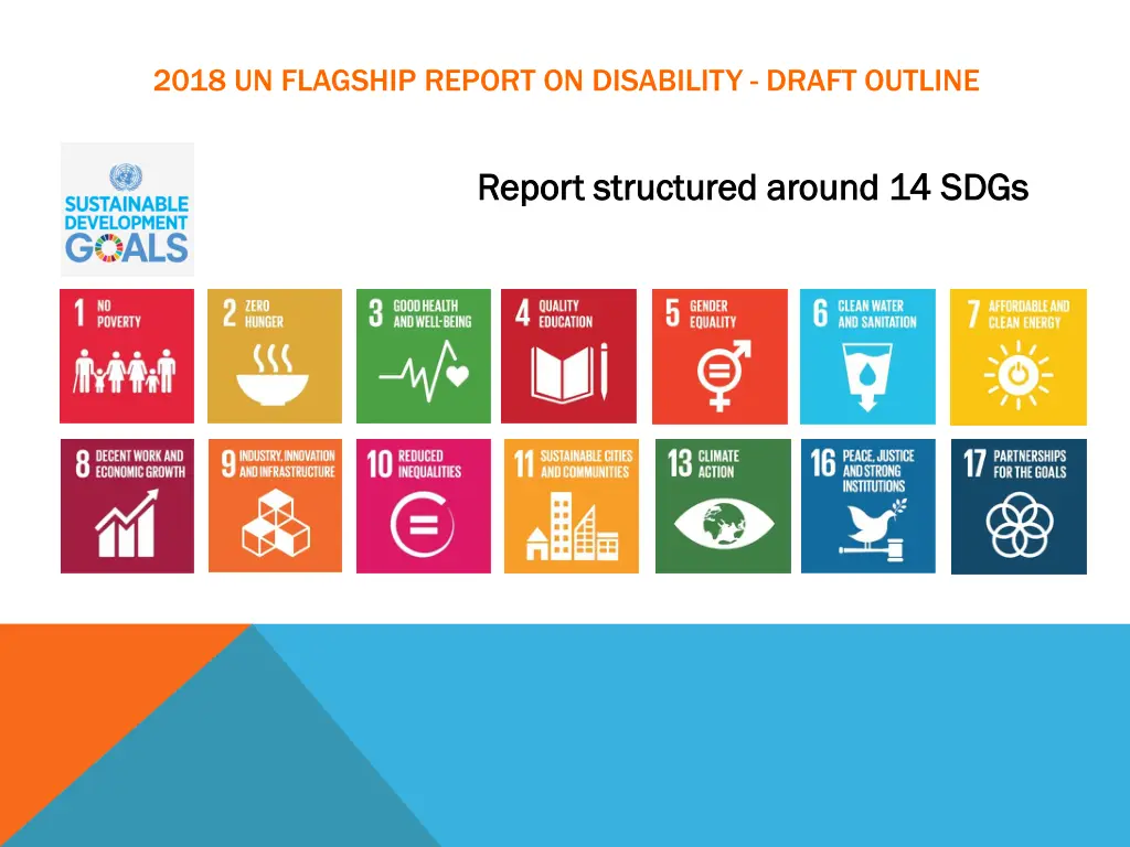 2018 un flagship report on disability draft