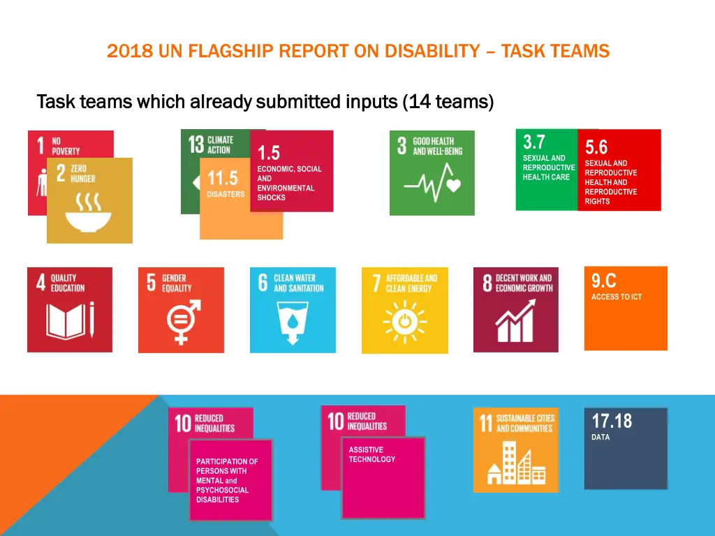 2018 un flagship report on disability task teams 1