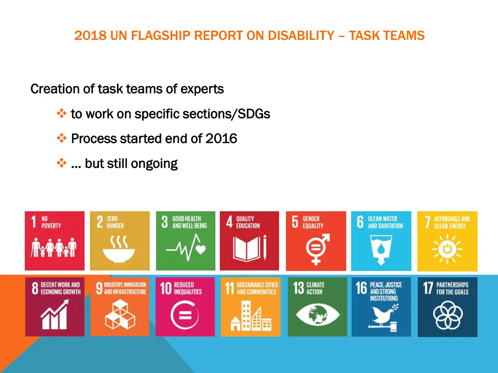 2018 un flagship report on disability task teams