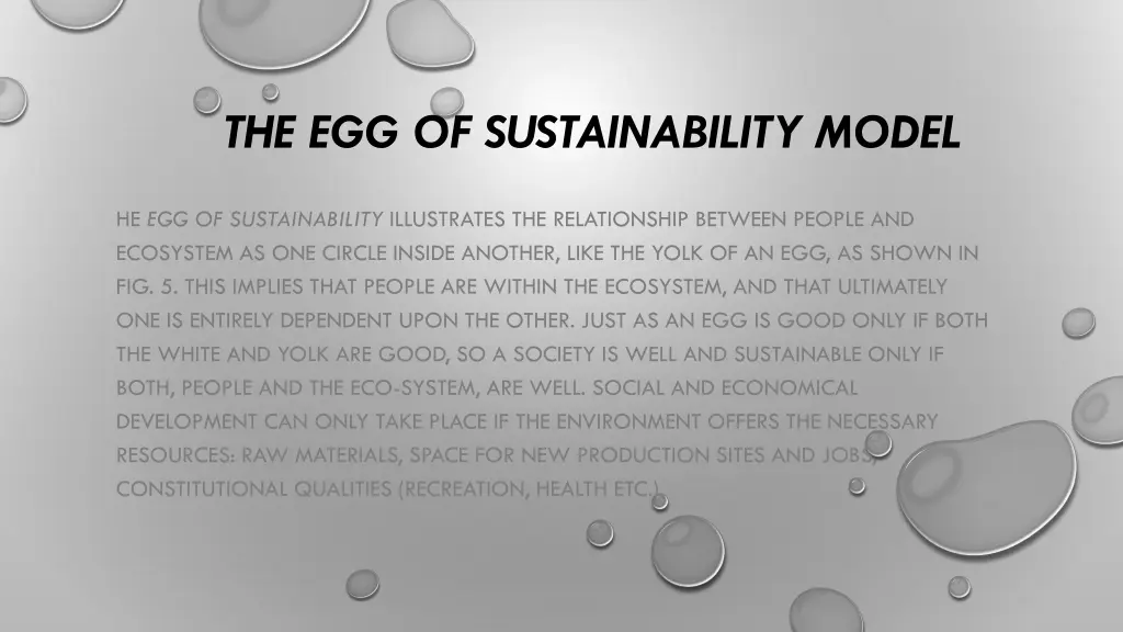 the egg of sustainability model 1