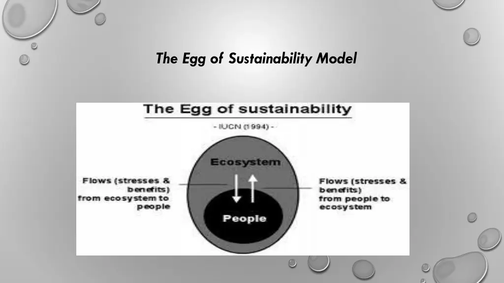 the egg of sustainability model 3