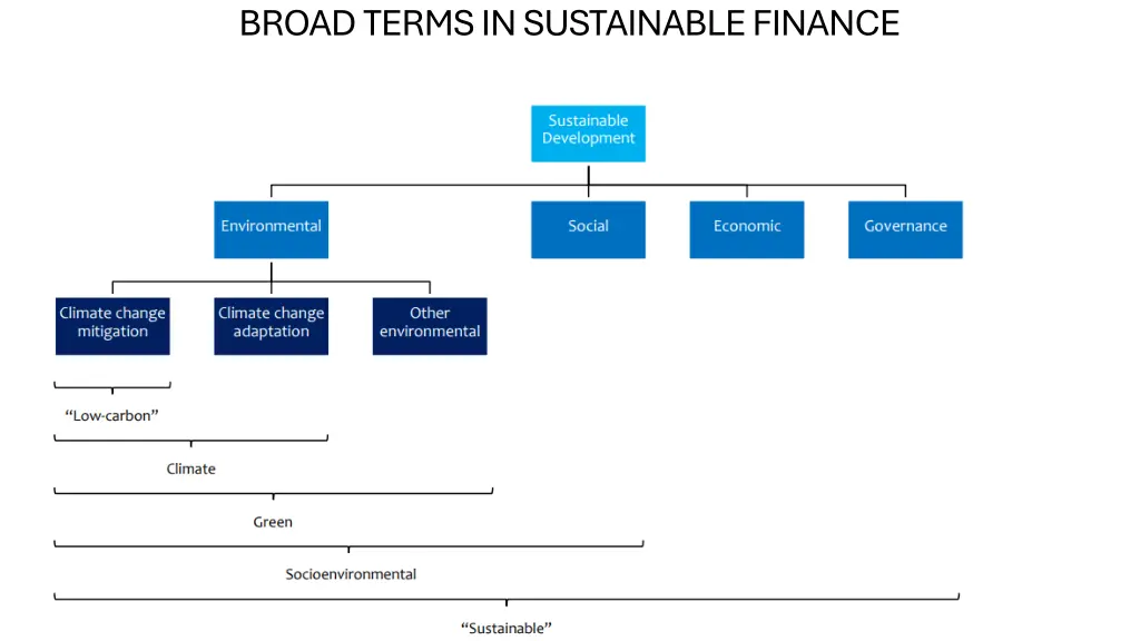 broad terms in sustainable finance